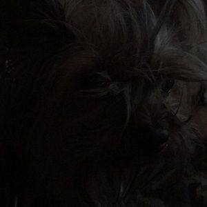 Meet your Posher, Patrice